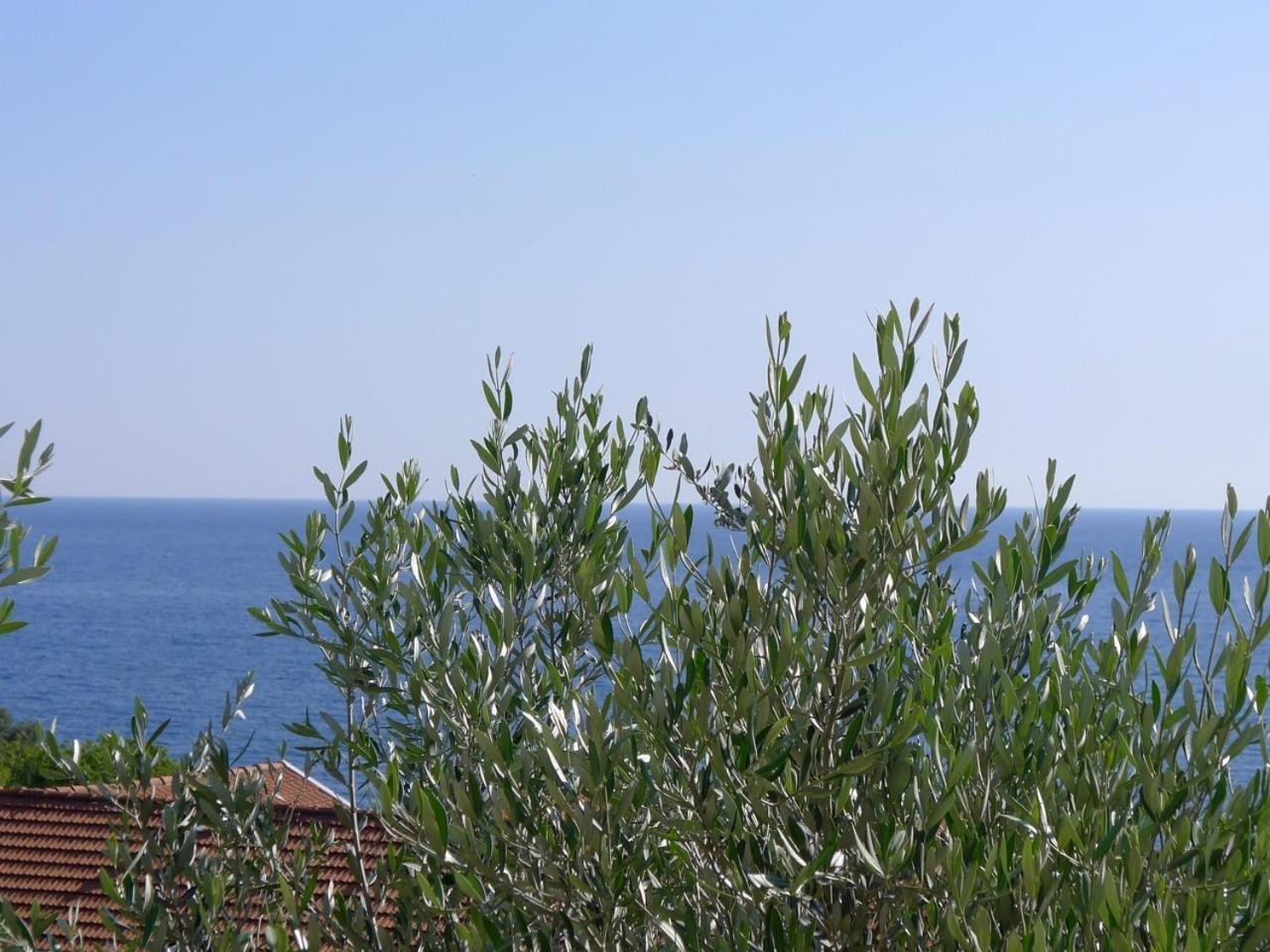 Apartments Maslina Ilha Ilha Sveti Stefan Exterior foto