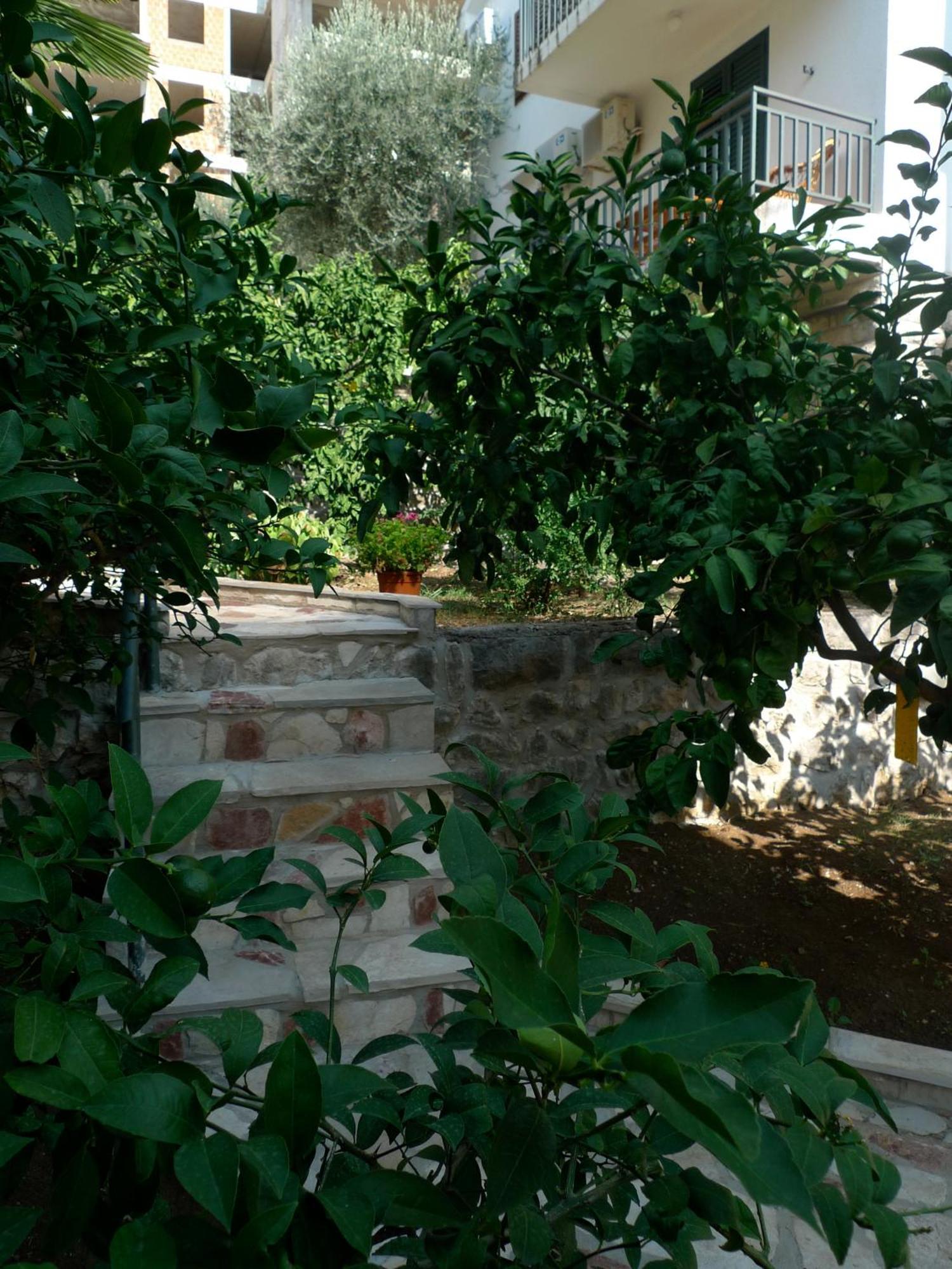 Apartments Maslina Ilha Ilha Sveti Stefan Exterior foto